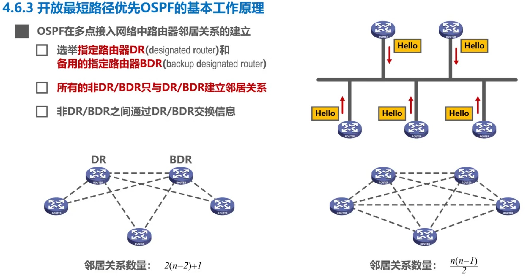 DR与BDR