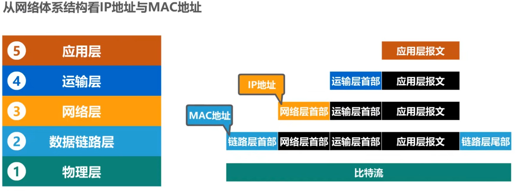 从网络体系结构看IP地址与MAC地址